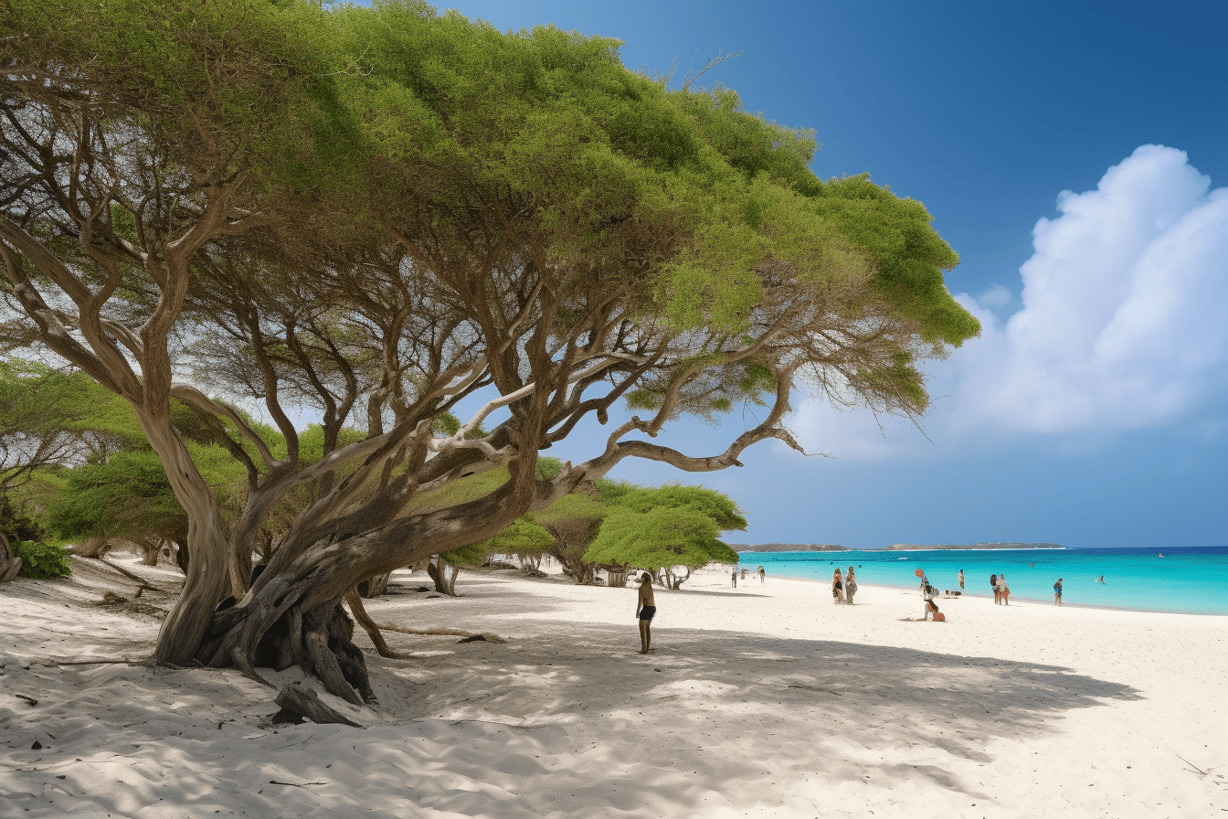 Aruba image